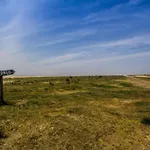 Duenenhuus Ost Modern Retreat Juist