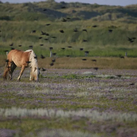 펜션 Duenenhuus Ost Modern Retreat